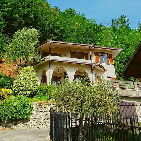 Le Grigne Guest House Oliveto Lario Exteriör bild