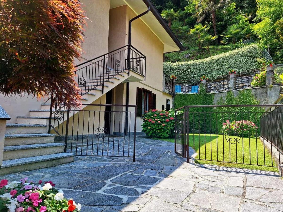 Le Grigne Guest House Oliveto Lario Exteriör bild