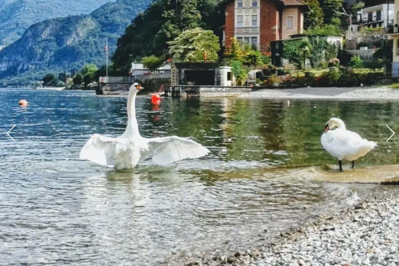 Le Grigne Guest House Oliveto Lario Exteriör bild